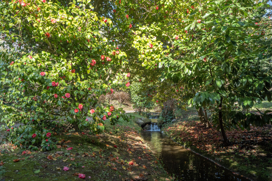 APERTURA STRAORDINARIA FEBBRAIO 2024