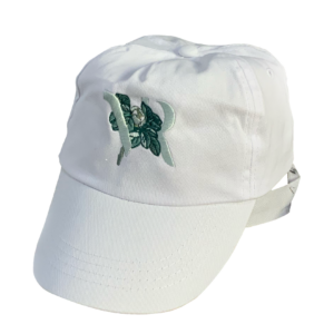 Casquette à visière