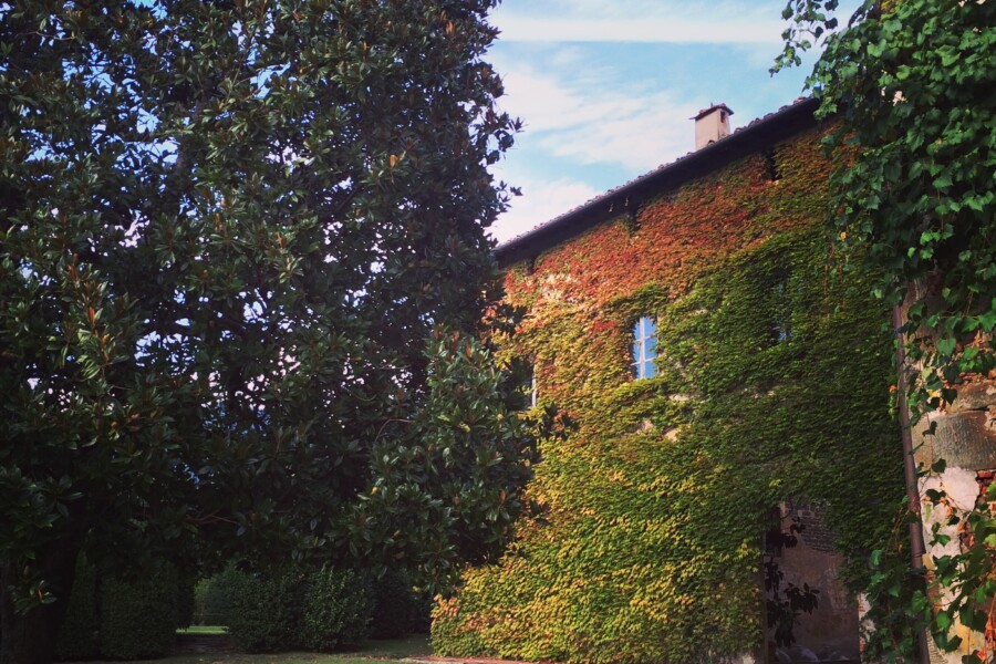 scorcio di villa reale di marlia