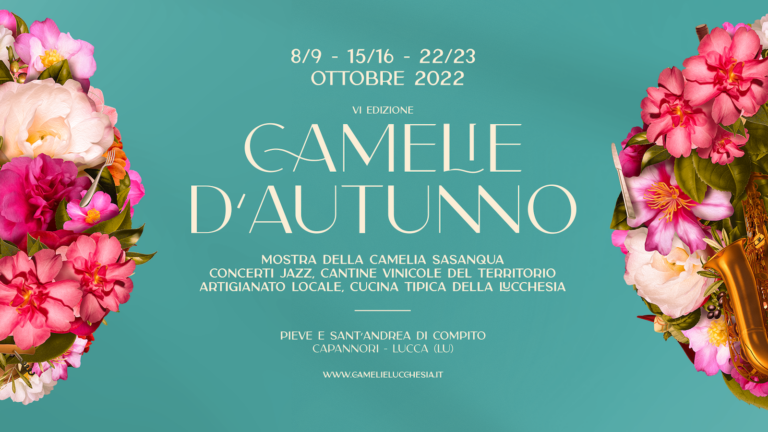 Camelie d'autunno