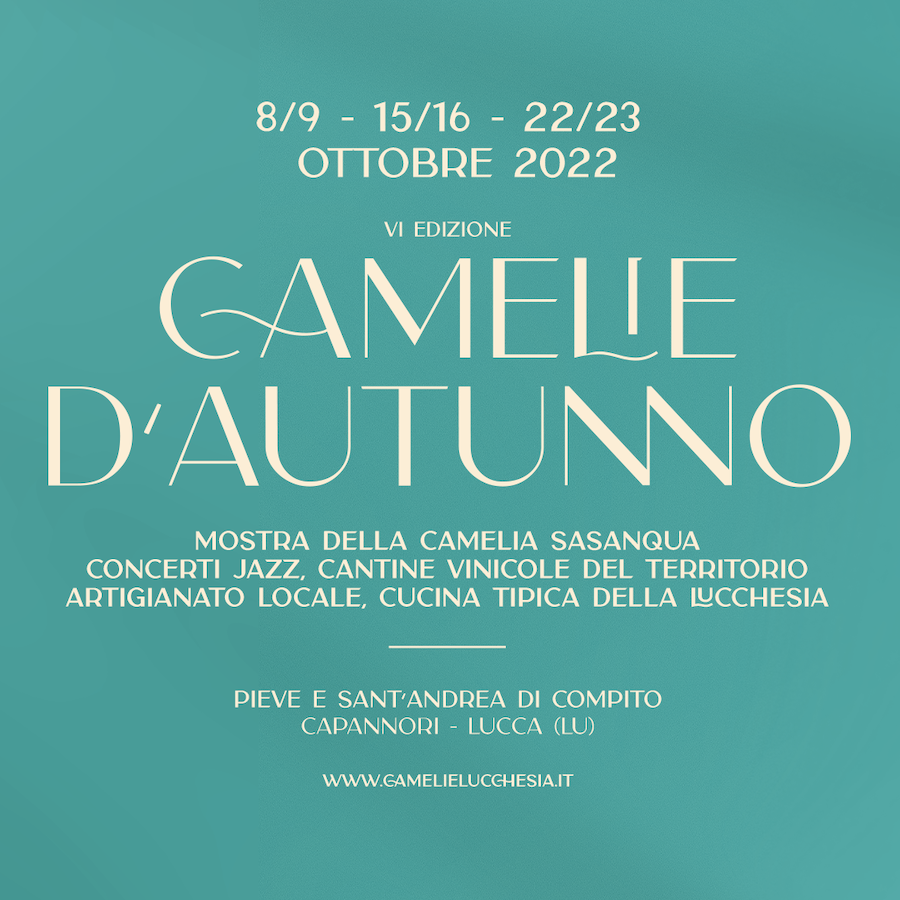 Camelie d'autunno