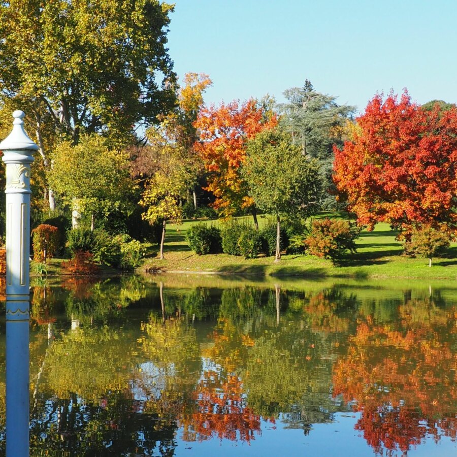 Autunno in Toscana: Foliage a Villa Reale
