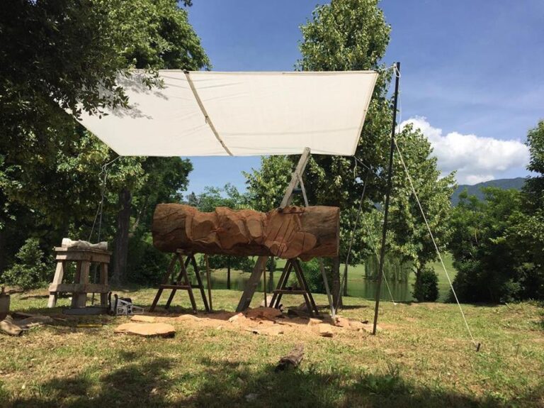 Primo-weekend-di-lavori-per-l'albero del pellegrino