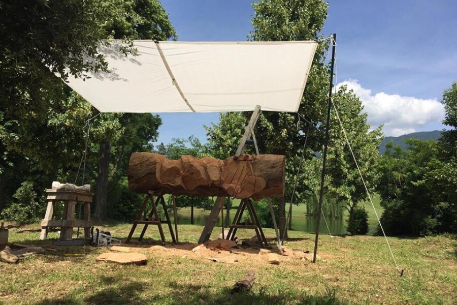 Primo-weekend-di-lavori-per-l'albero del pellegrino