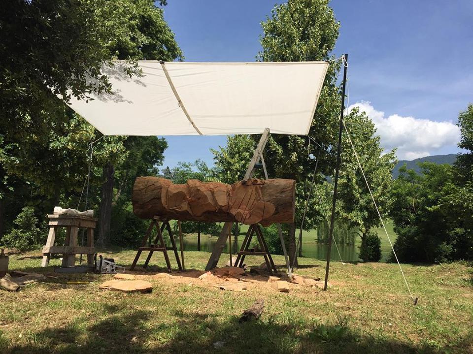 Primo-weekend-di-lavori-per-l'albero del pellegrino