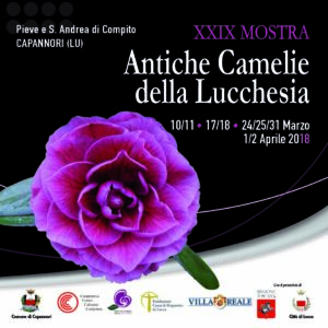 Cosa visitare a marzo in Toscana