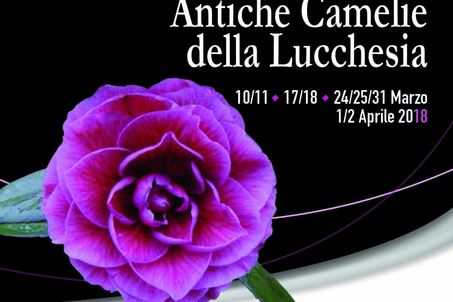 Cosa visitare a marzo in Toscana