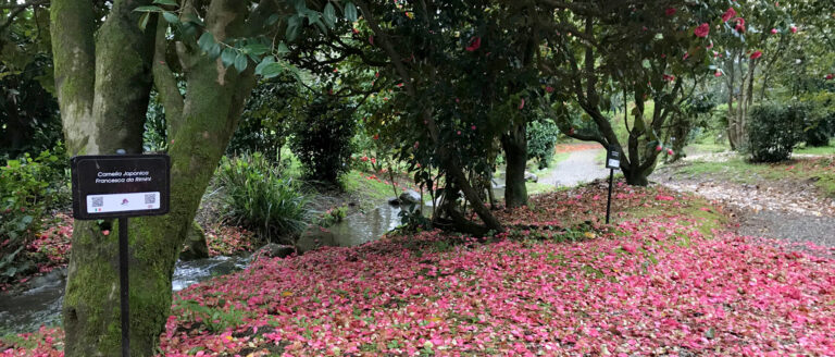 Il Percorso Olfattivo